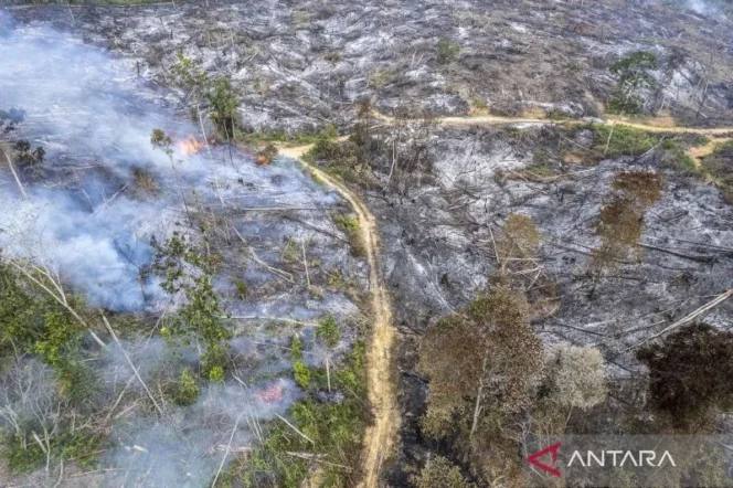 
					Kapolri Pastikan Kepolisian Telah Tangkap Pelaku Karhutla di Sejumlah Wilayah untuk Menekan Angka Kebakaran Hutan dan Lahan 2026